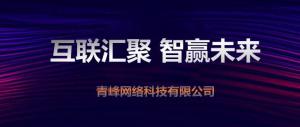 “互聯聚匯，智贏未來” 2019焦作青峰全網合作峰會***成功！